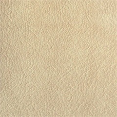 Origin Canvas